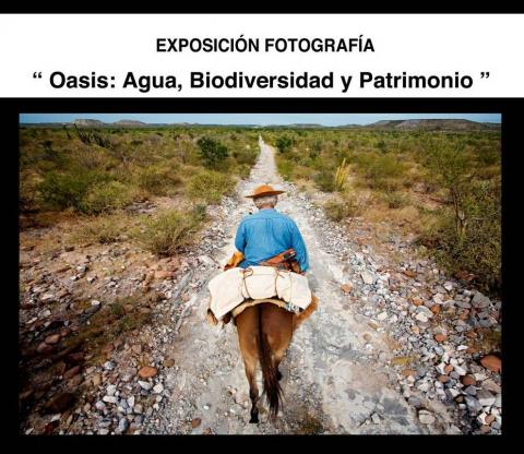 Exposición ‘Oasis: agua, biodiversidad y patrimonio’.